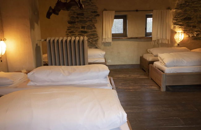 Vielsalm Stay With Furry Friends - Photo 8