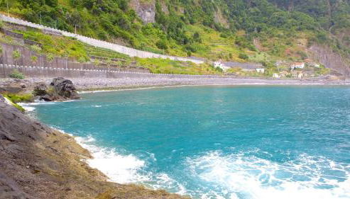 Lazy Lizard by the Ocean - Foto 2