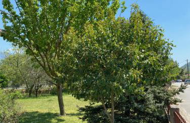 KARMA House by the River - Foto 32