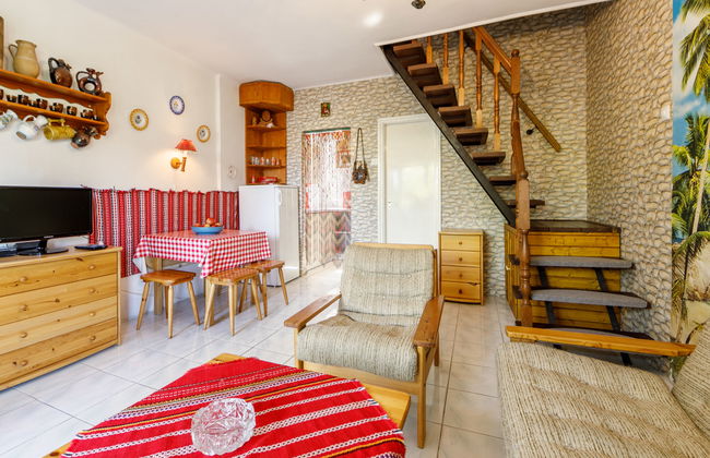 Mathias Rex - Foto 8