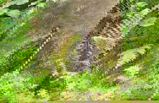 1 Fuchskreuzhof Comfortable Holiday Residence - Foto 19