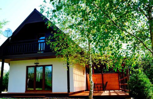 Bies Czadowy Zakątek - Foto 38