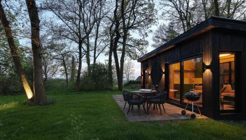 The Woods - Luxury cabin in a woodland setting - Foto 4, Garden, Garden view