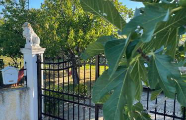 Beautiful nearby beach house with garden, private pool and large yard - Foto 7