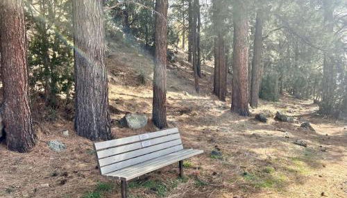 Penthouse Suite at Meadow View! - Foto 4