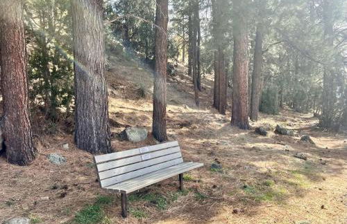 Penthouse Suite at Meadow View! - Foto 4