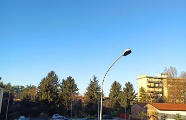 La Rosa del Centro - Foto 3