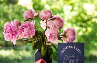 Przystanek Wieś - Foto 18