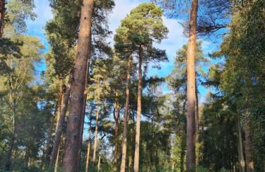 Sutton Coldfield 2-Bed Caravan Parking & Bar-B-Q - Foto 22