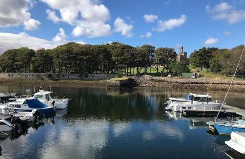 Kinnoull House near Stornoway Hot-Tub Sauna Pet Friendly - Photo 59