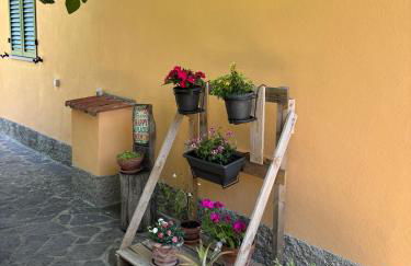 Voce del Casentino - Foto 24