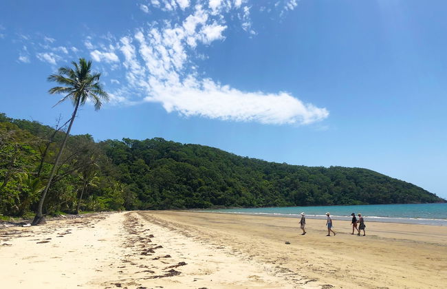 Villa Beach Palm Cove - Photo 79