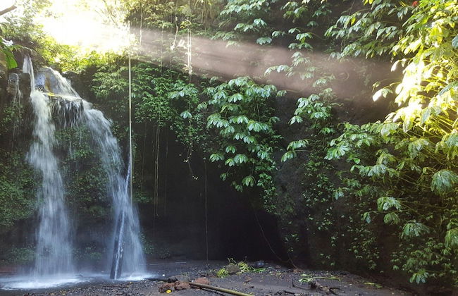 Hillside Eden Bali - Photo 25