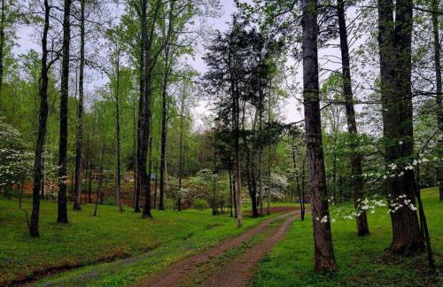 Hobbithouse at White Lotus Eco Spa Retreat - Foto 13