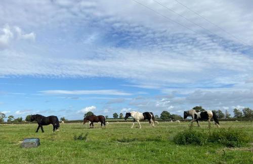 Thames Cottage, Old Mill Farm, Cotswold Water Park - Foto 30