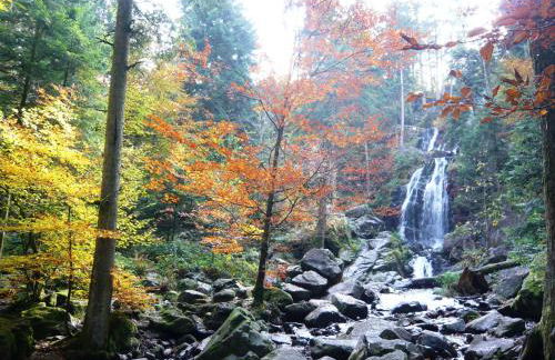 Chalet luxe 12 personnes SPA SAUNA VOSGES-GERARDMER - Foto 34