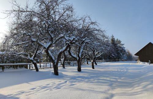 KTA TARPAN Mały Domek - Foto 19