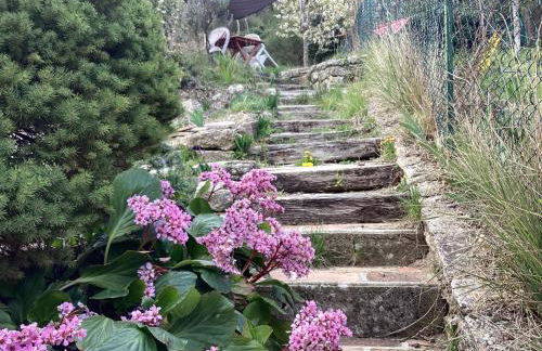 196 rue des moulins - Foto 43