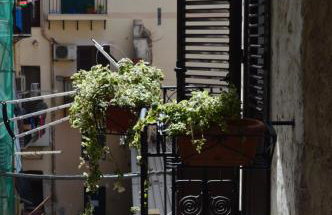 Futtitinni Home casamia - Foto 26