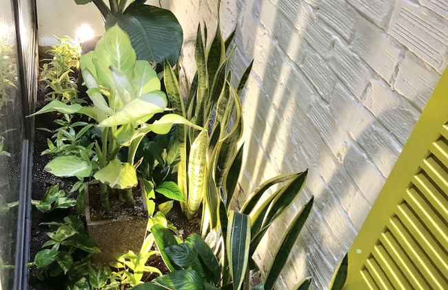 Uri House - Photo 63