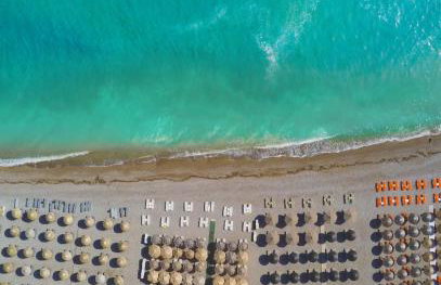 Lemon Tree House - Photo 51