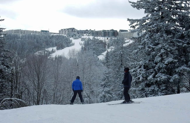 0 Br : Soaring Eagle 308 - Foto 1