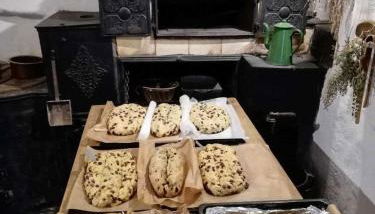 Schäferwagen im Leipziger Neuseenland - Foto 3