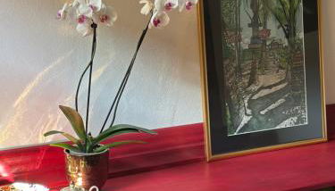 Lovely room in a 18th century manor - Foto 3