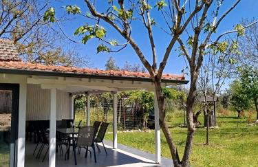 OliveGrove - Foto 1