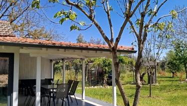 OliveGrove - Foto 1