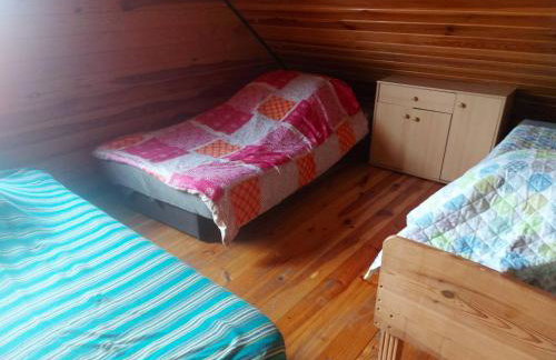 Białowieża Spanie na sianie Puszcza Białowieska - Foto 23