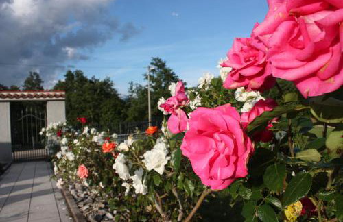 Apartment Borna - Photo 14