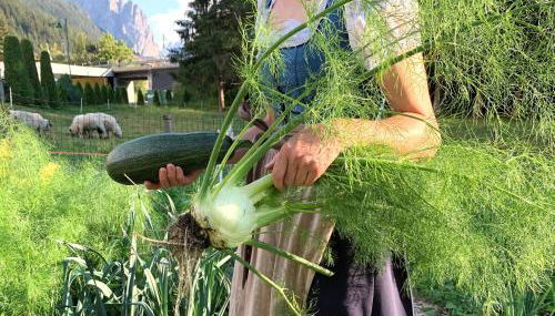 Apparthotel Germania - Foto 3, Garden