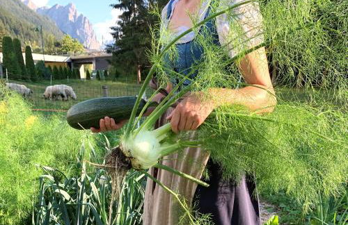 Apparthotel Germania - Foto 3