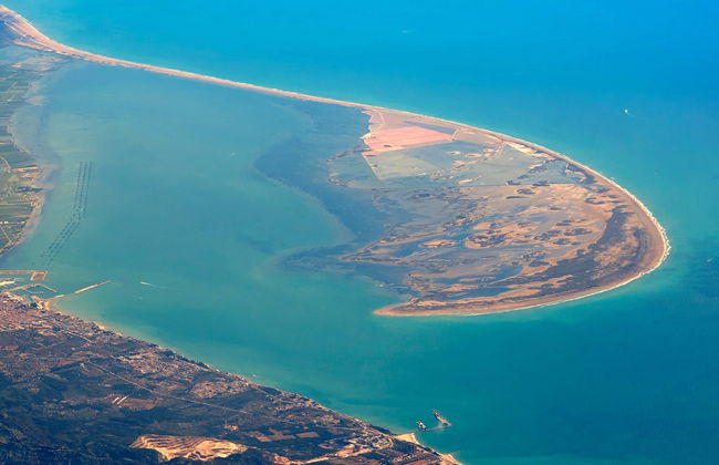 Passeio de barco pelo Delta do Ebro - Foto 6
