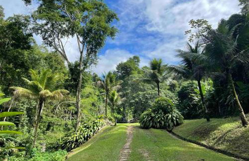 Casa Por do Sol - Foto 30