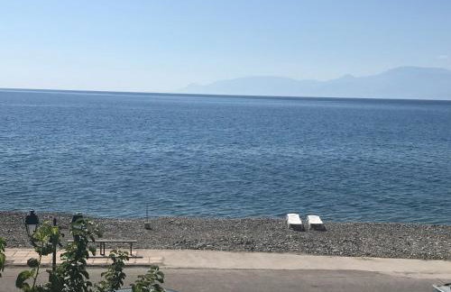 Sea Sound - Photo 21