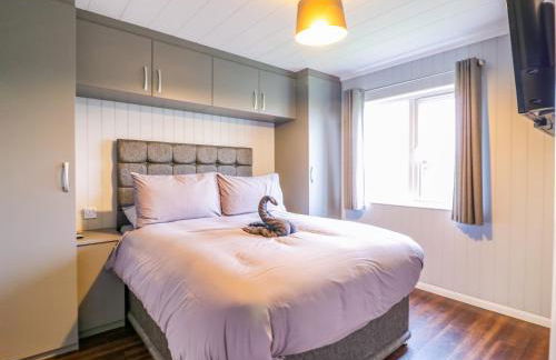 Kingfisher - Foto 16