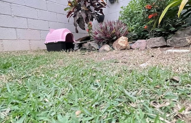 Recanto nobre - Estadia incrível - Photo 15