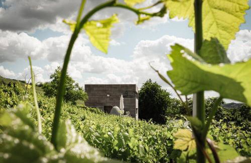 Gästehaus im Weingut am Stein - Photo 4