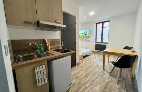 Studio rénové à 15 min de Lyon - Foto 1