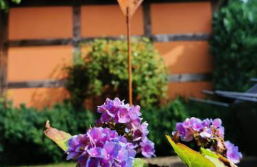 Dorfidyll Wendisch Priborn - Foto 7