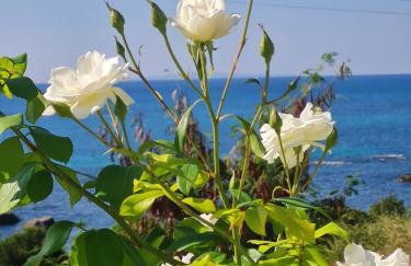 VILLA VRACHOS Preveza - Foto 67