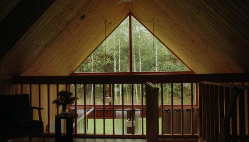 Miło las widzieć - Foto 4