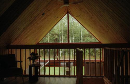 Miło las widzieć - Foto 4