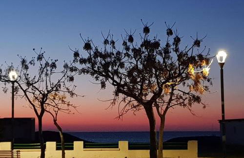 Una finestra sul glicine - Foto 24