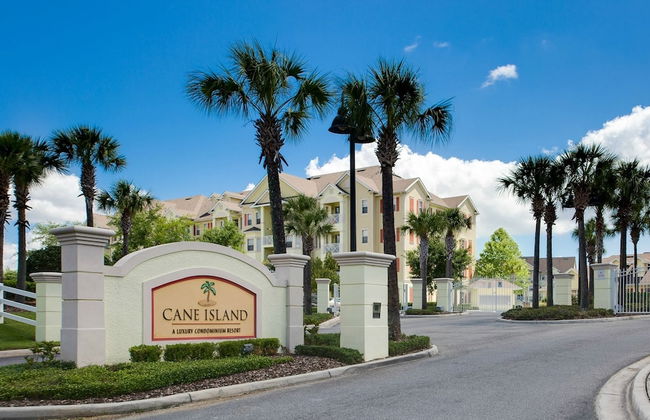 Cane Island Resort by Amazing Vacation Homes FL. Inc - Foto 32