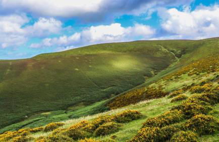 Pant yr onen holidays - Photo 58