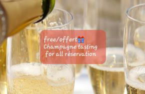 Les Loges Du Théatre 160m2 MAISON PRIVÉ 14 personnes MAX tout équipé a 200m de l'AVENUE DE CHAMPAGNE et toutes commodités DEGUSTATION CHAMPAGNE OFFERTE jacuzzi sauna jeux velos EMPLACEMENT EXCEPTIONNEL et CHIC - Foto 41