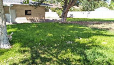 The Gate City Grande - Foto 3